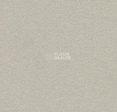 Линолеум Forbo Bulletin Board 2206 oyster shell фото 1 | FLOORDEALER